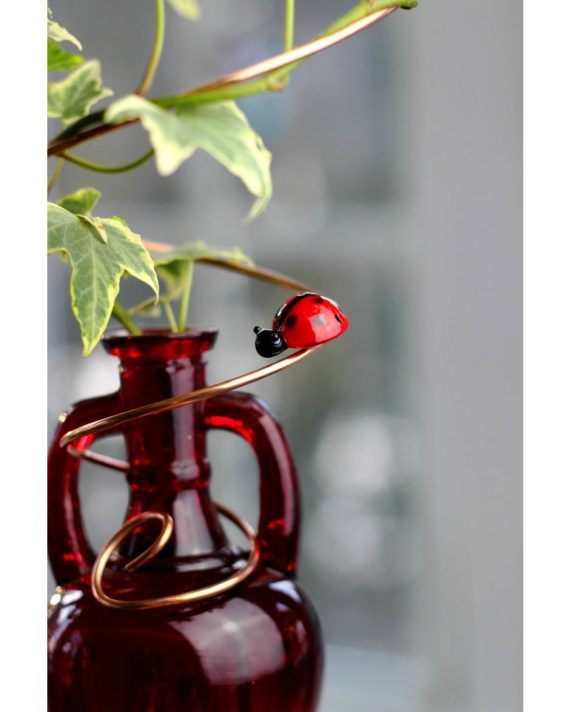 plant rooters starters hanging water gardens brass butterfly stained glass