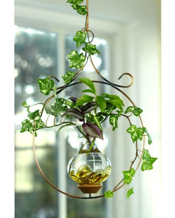 plant rooters starters hanging water gardens brass butterfly stained glass