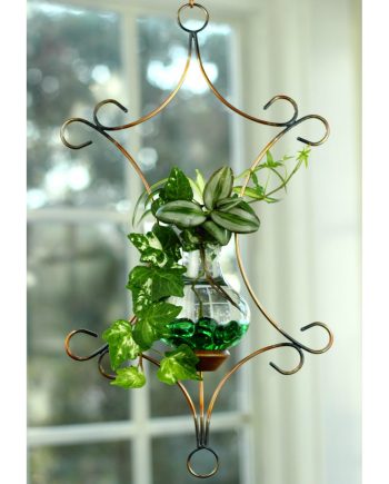 plant rooters starters hanging water gardens brass butterfly stained glass