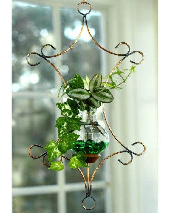 plant rooters starters hanging water gardens brass butterfly stained glass
