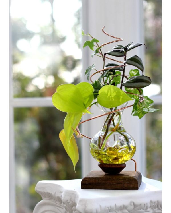 plant rooters starters hanging water gardens brass butterfly stained glass