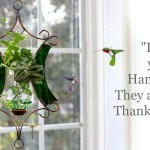 plant rooters starters hanging water gardens brass butterfly stained glass
