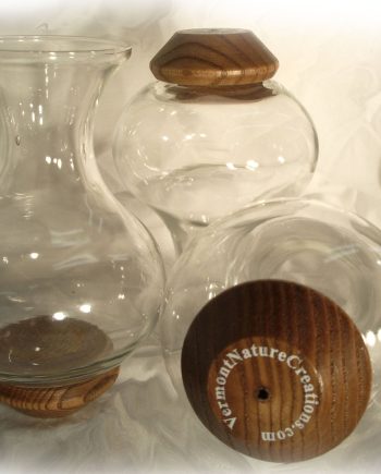 plant rooters starters hanging water gardens brass butterfly stained glass