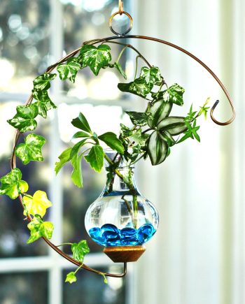 plant rooters starters hanging water gardens brass butterfly stained glass